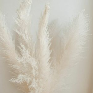 💕 Offers Welcomed! 💕